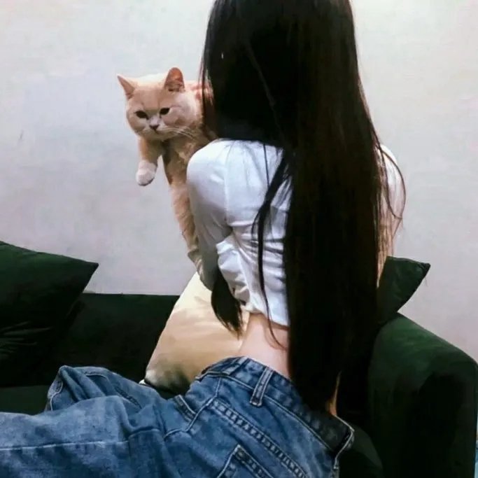 间谍亚契第十季